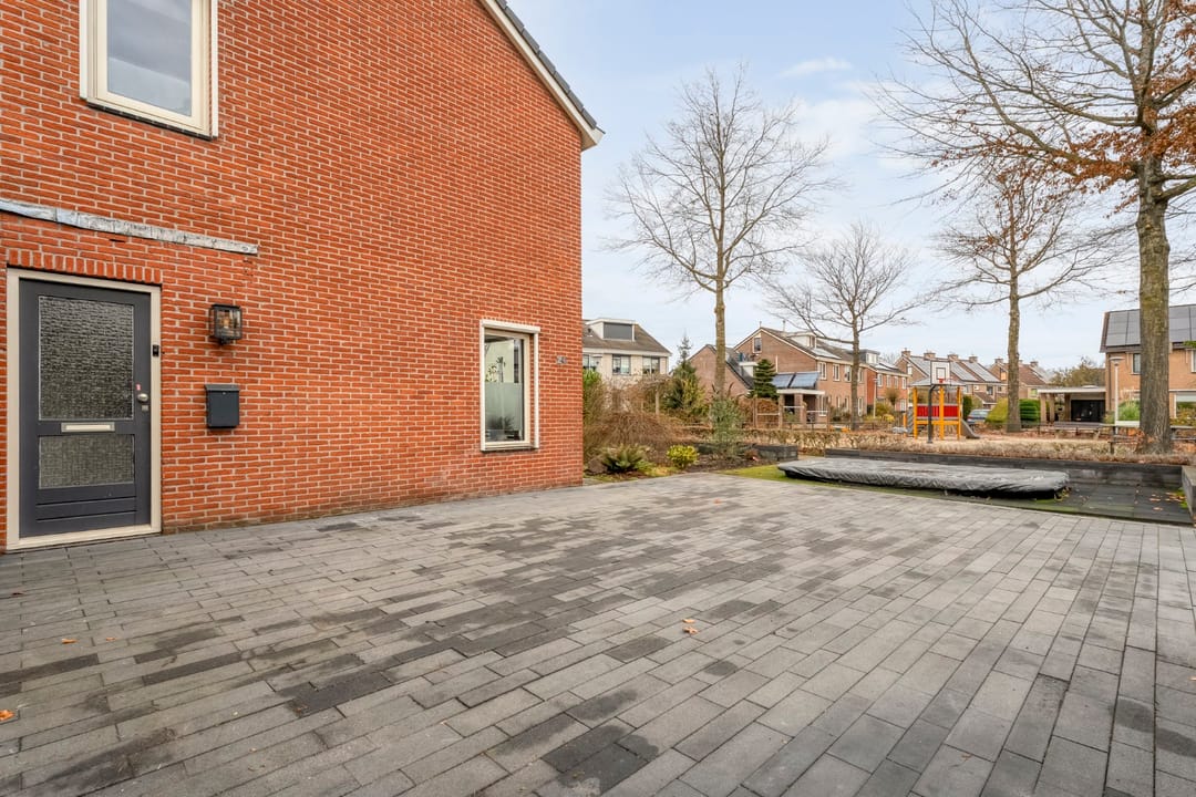 Photo 11 of Roodborst 24