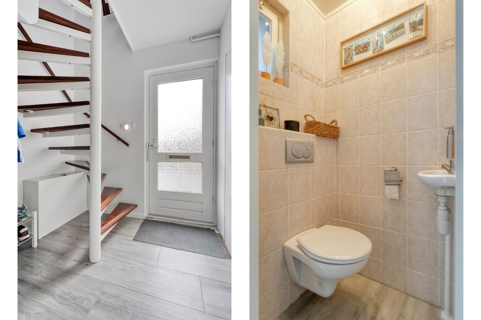 Photo 12 of Roodborst 24