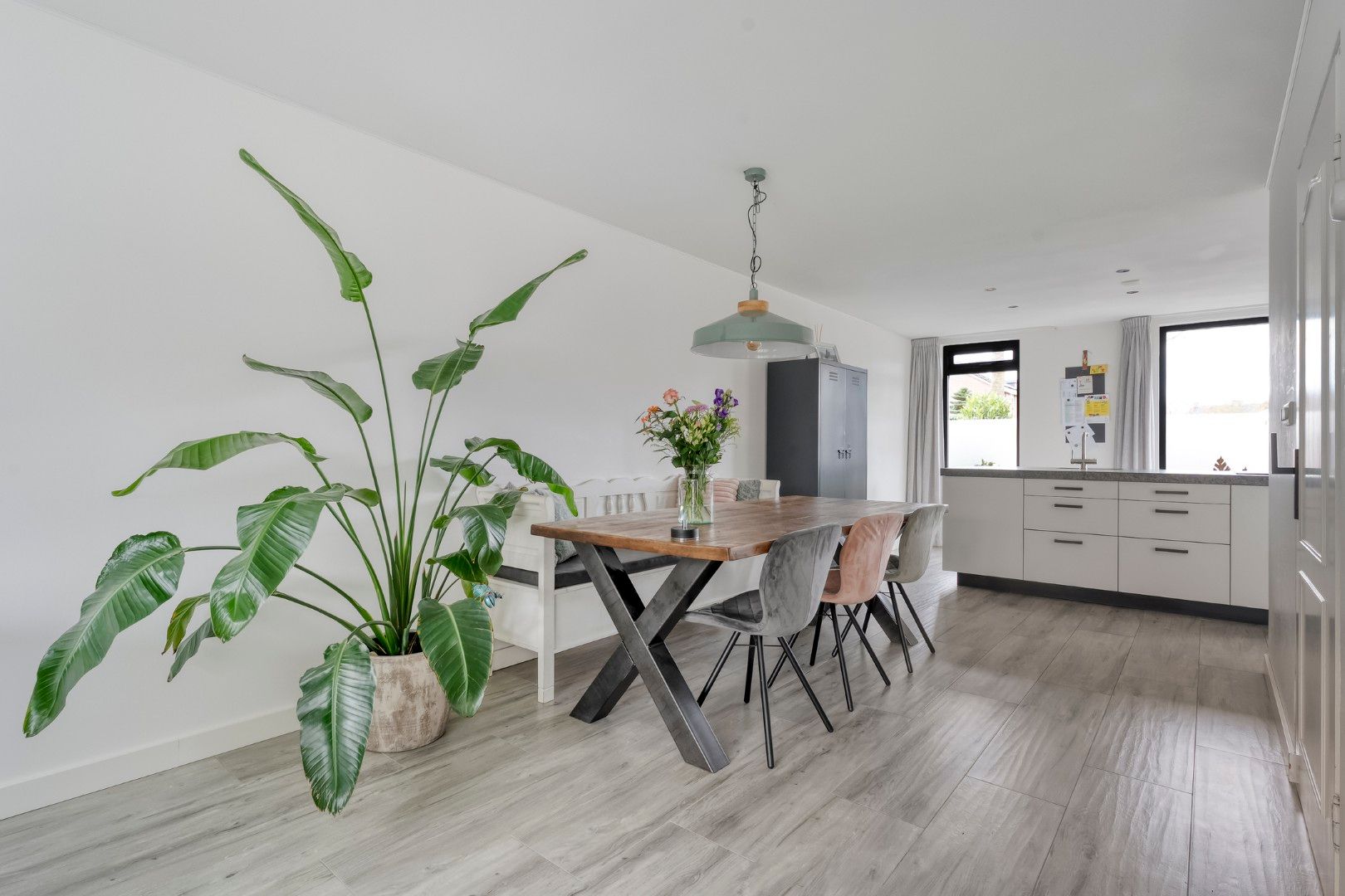 Photo 18 of Roodborst 24