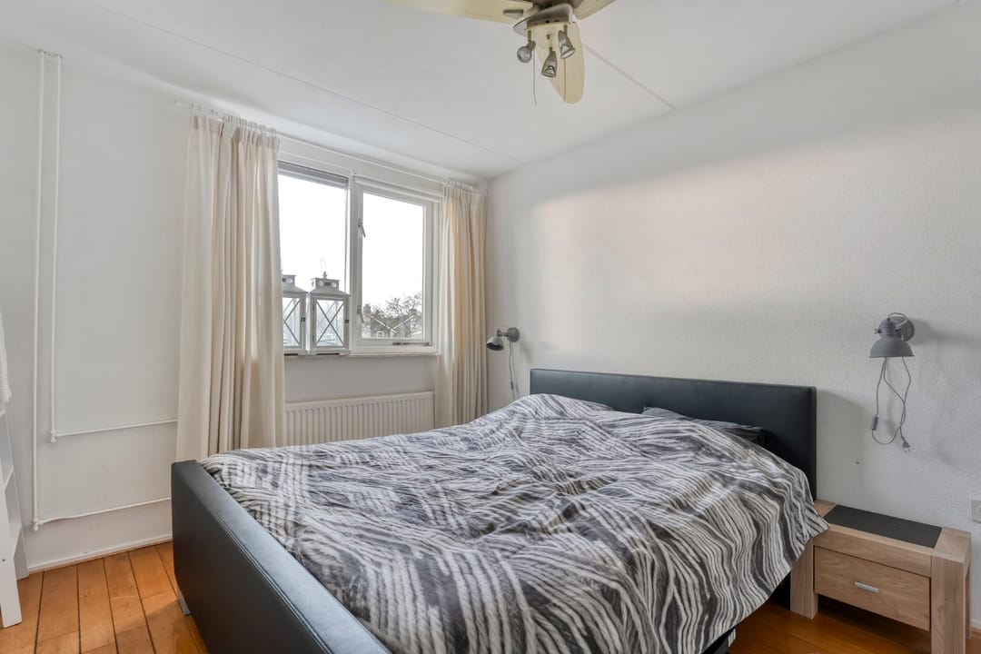 Photo 23 of Roodborst 24