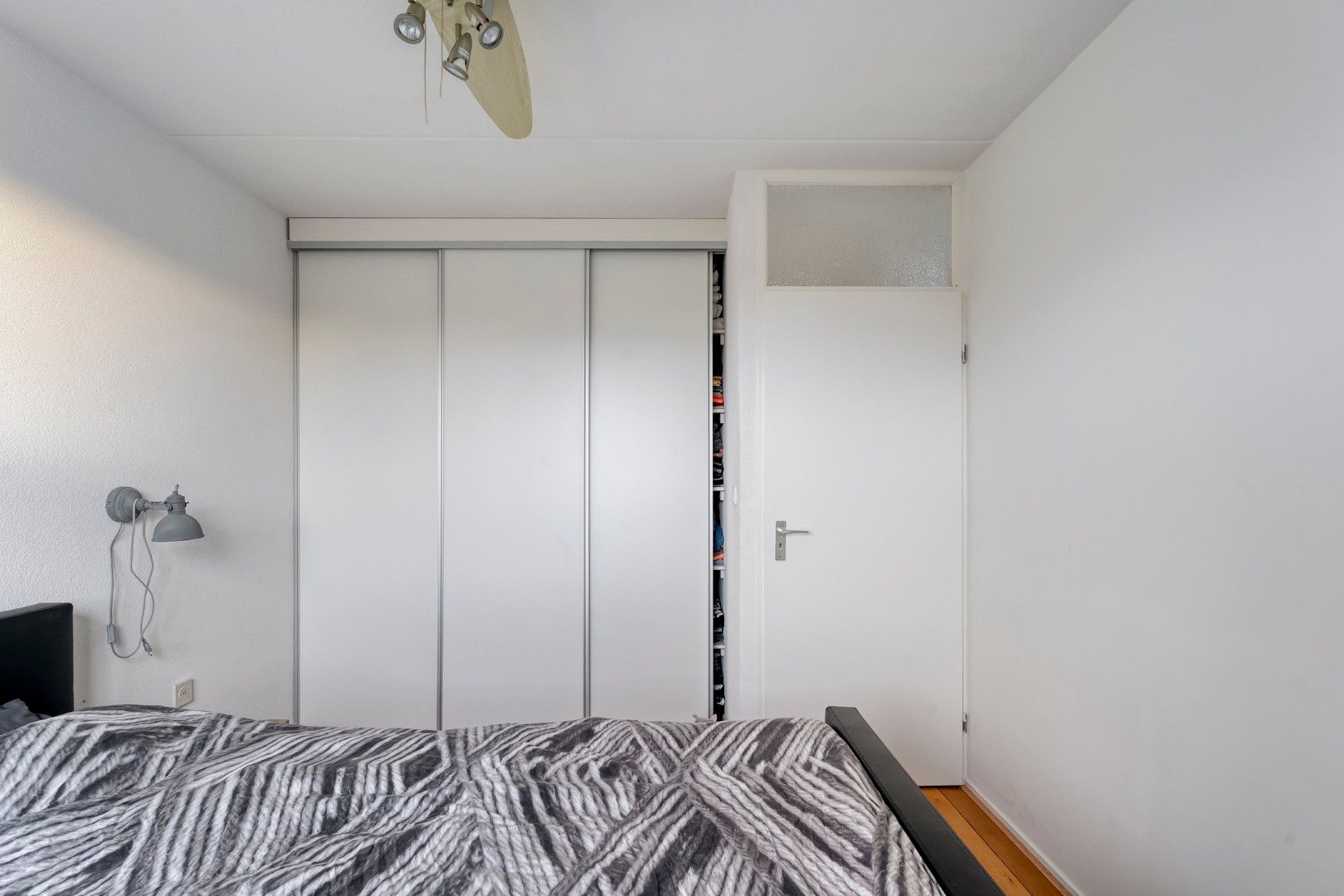 Photo 24 of Roodborst 24