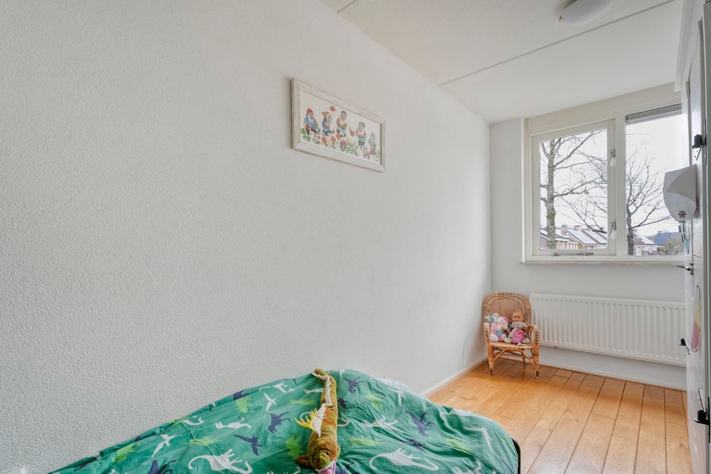 Photo 25 of Roodborst 24