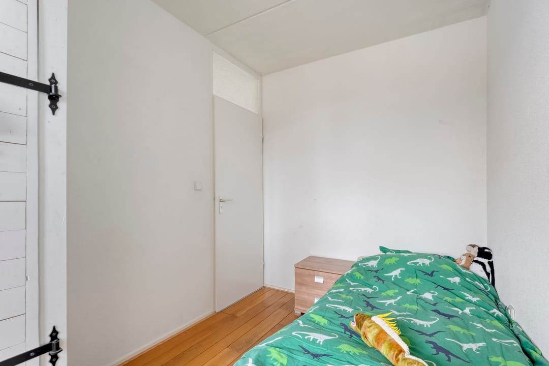 Photo 26 of Roodborst 24