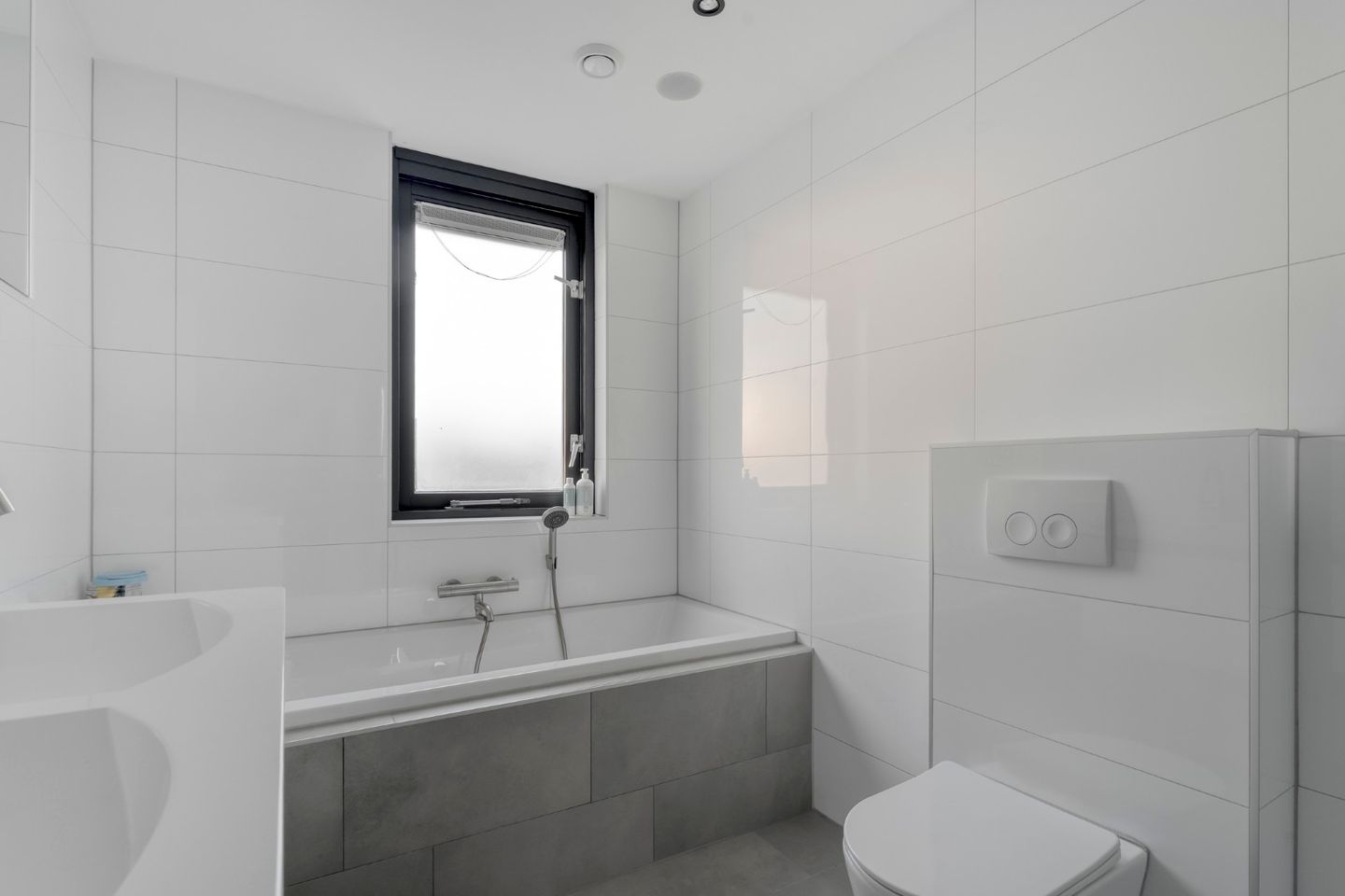 Photo 29 of Roodborst 24