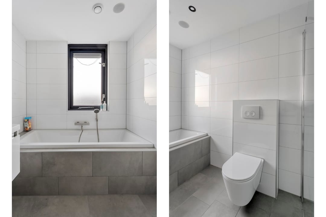 Photo 31 of Roodborst 24