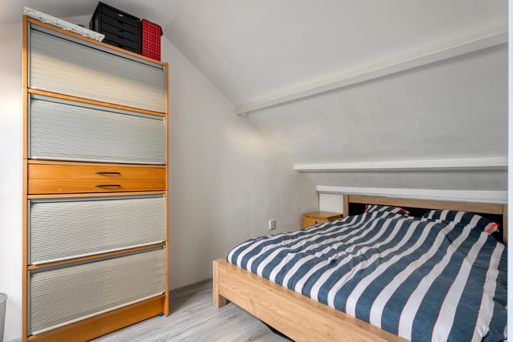 Foto 33 van Roodborst 24