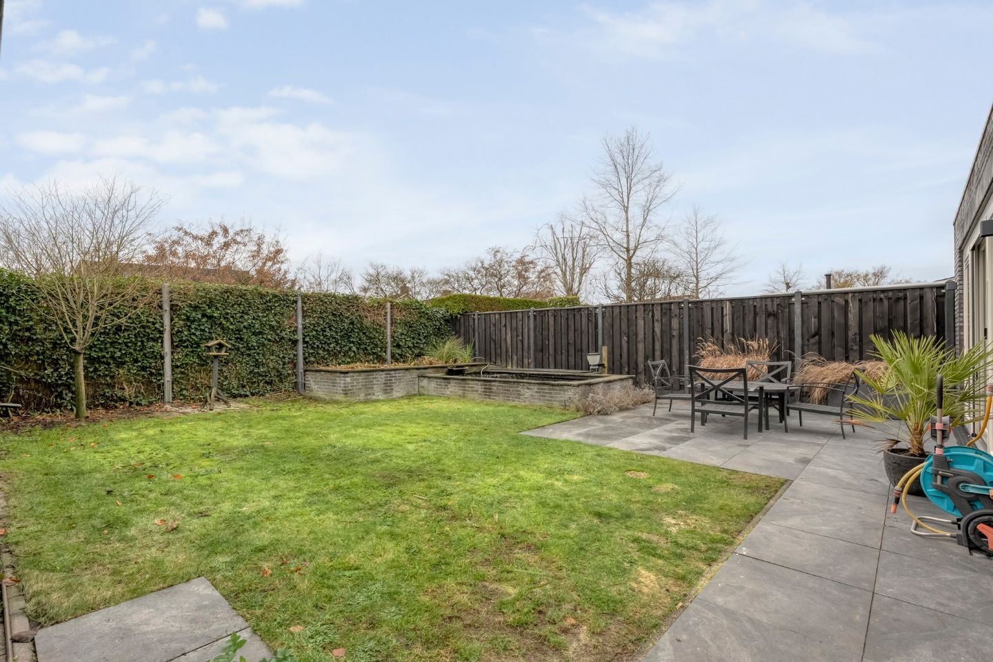 Photo 35 of Roodborst 24