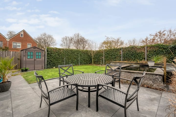 Foto 36 van Roodborst 24