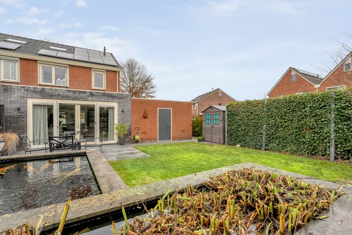 Foto 38 van Roodborst 24