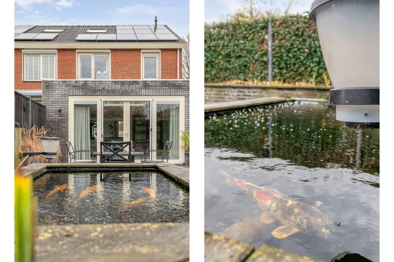 Photo 39 of Roodborst 24