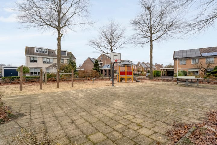 Foto 40 van Roodborst 24