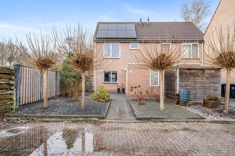 undefined main image