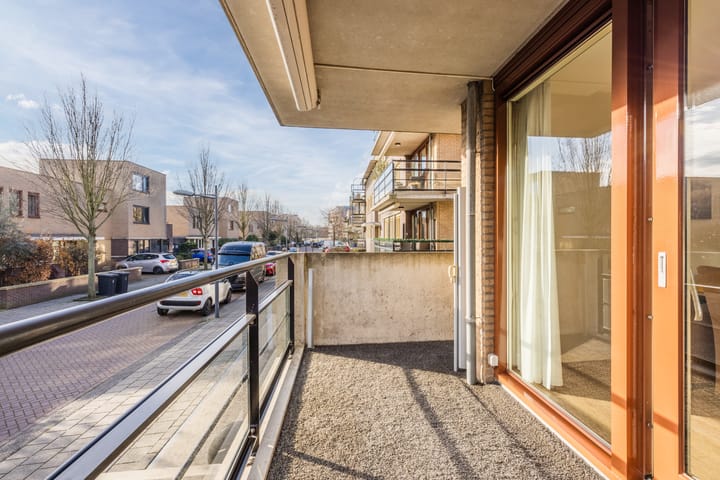 Foto 11 van De Dommel 81