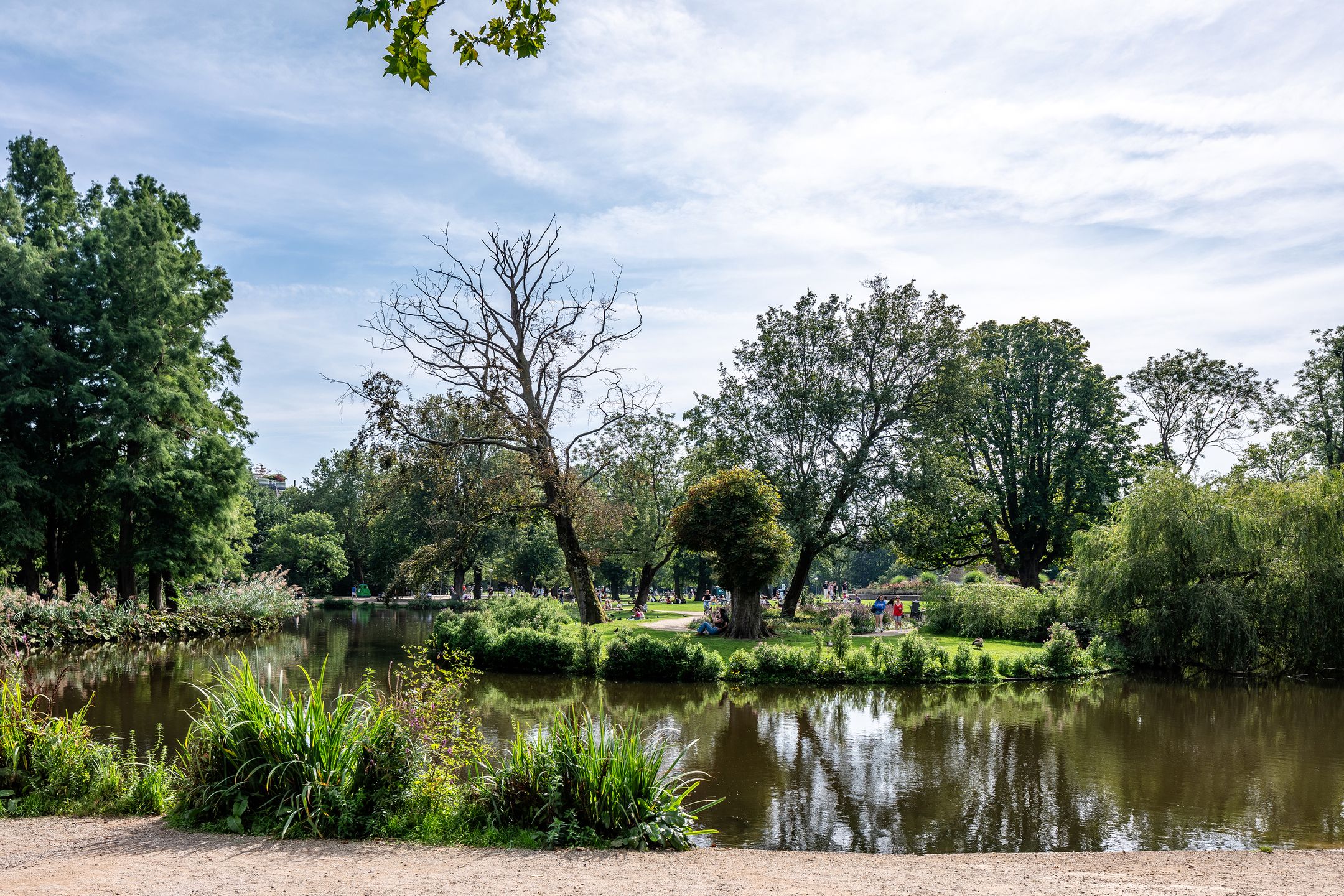 Photo 27 of Aalsmeerweg 11-2