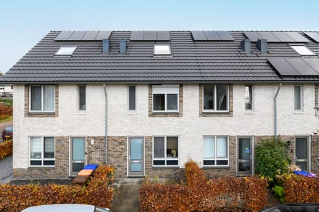 Van Meellaan thumbnail