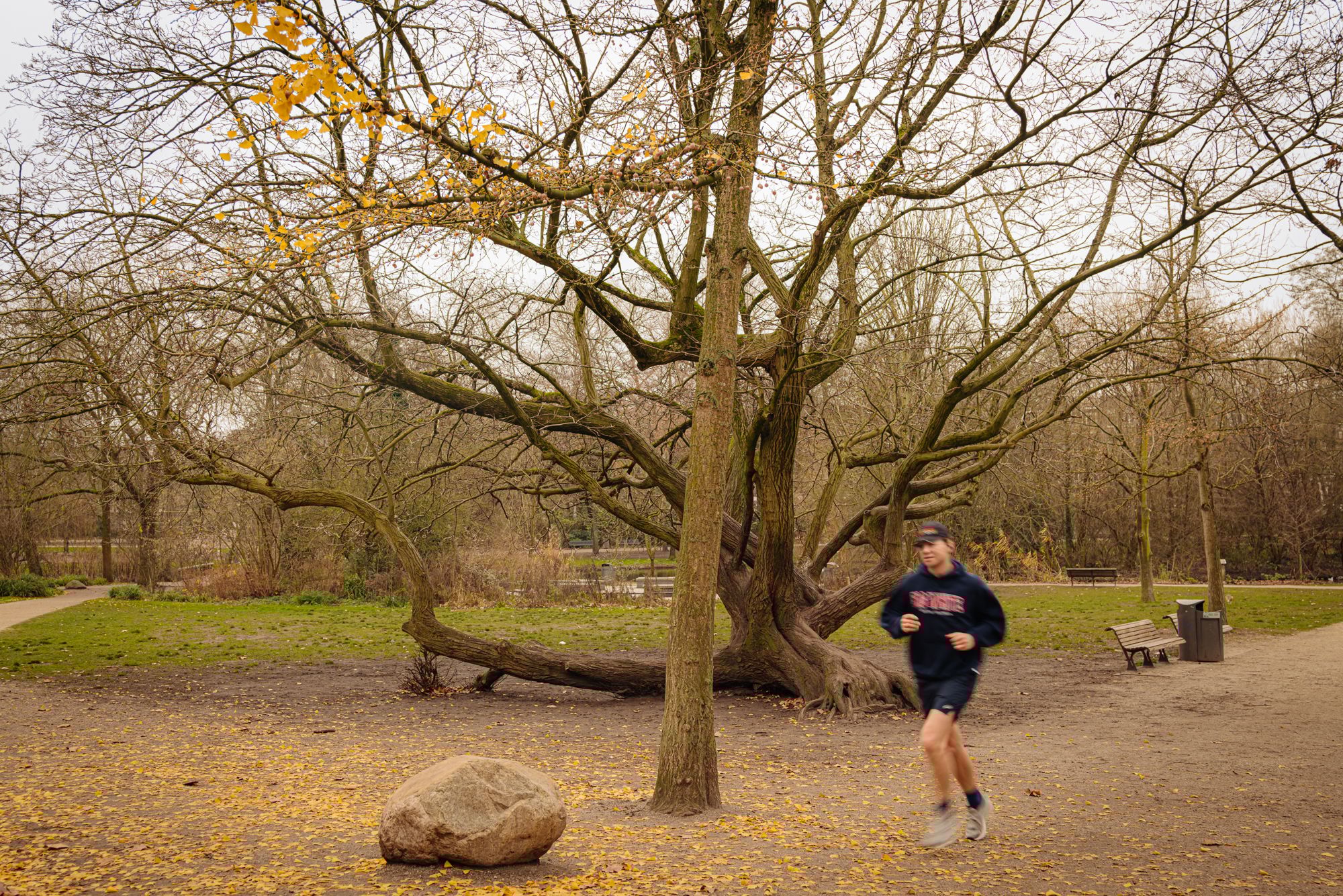 Foto 24 van Rustenburgerstraat 451-H