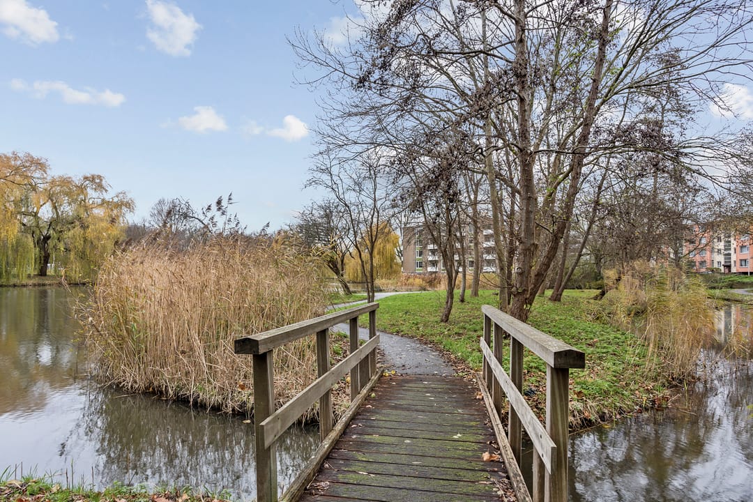 Foto 32 van Melis Stokezijde 234