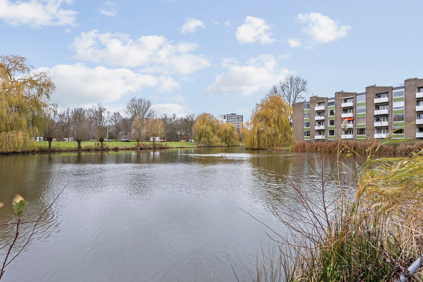 Foto 34 van Melis Stokezijde 234