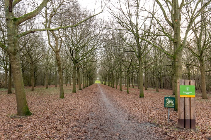 Foto 33 van Spieringweg 1063