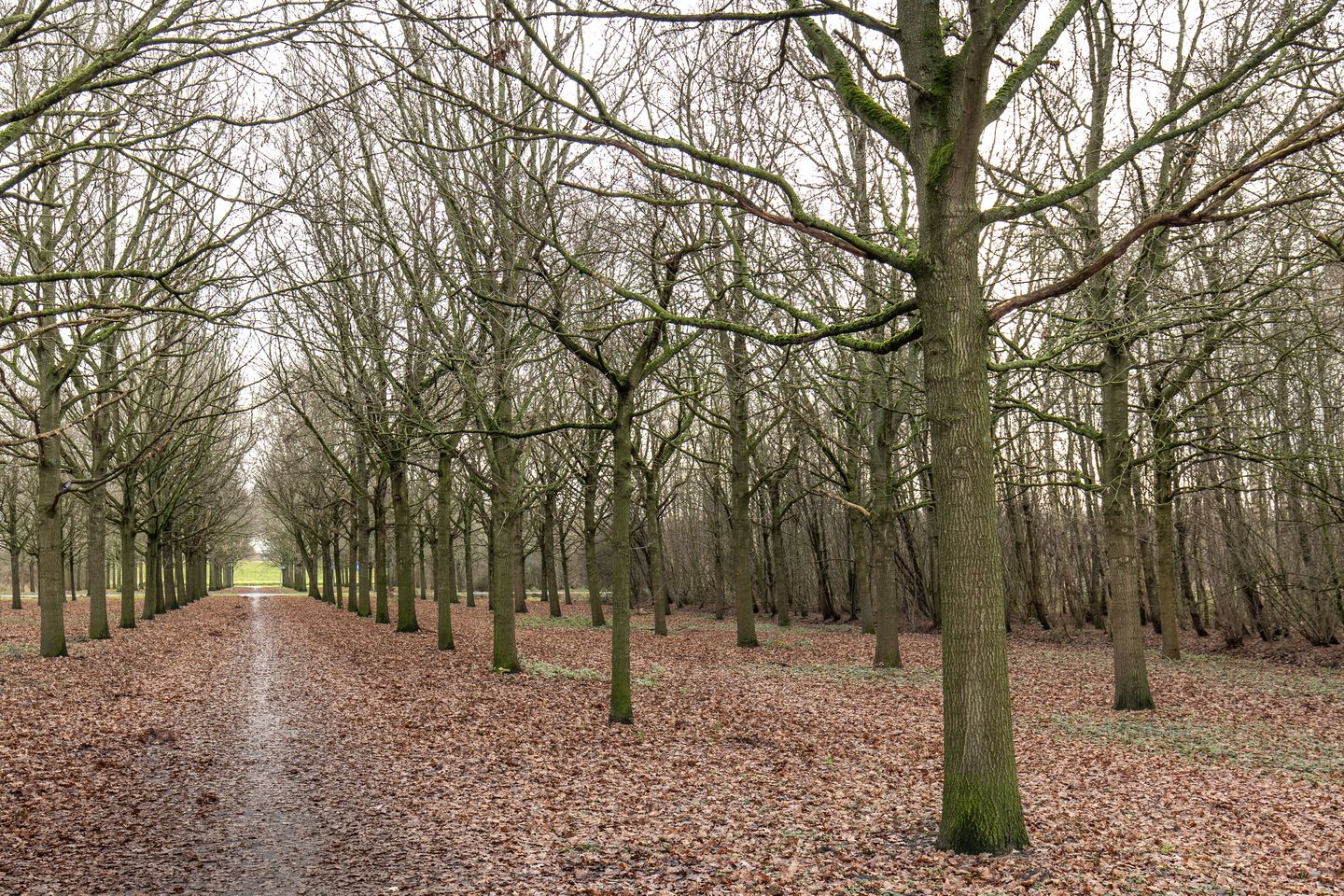 Foto 34 van Spieringweg 1063