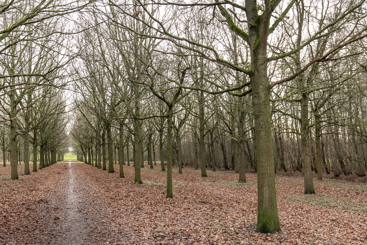 Foto 34 van Spieringweg 1063