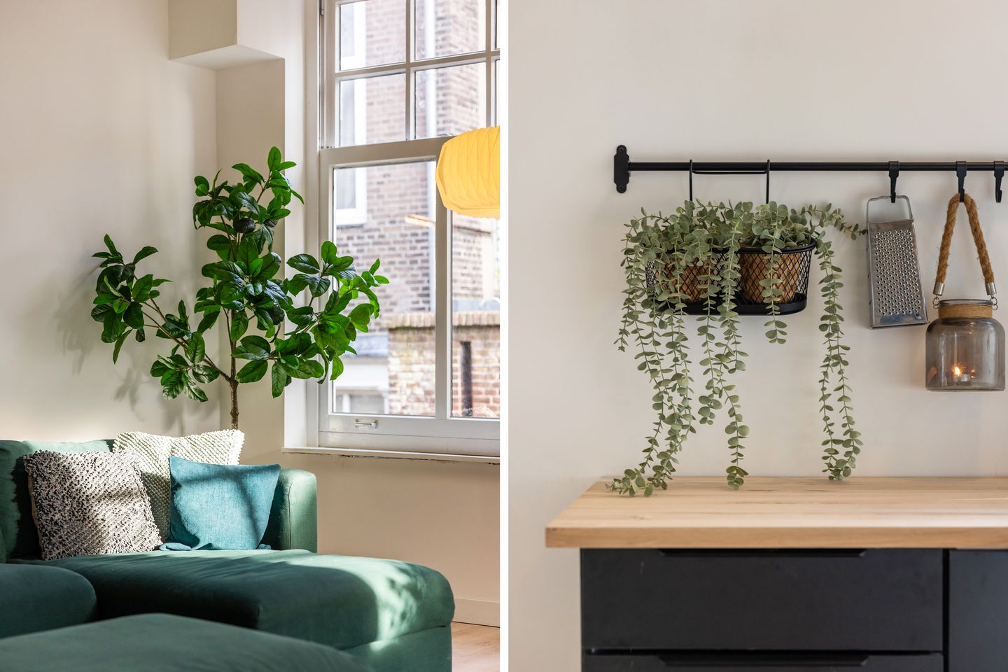 Foto 20 van Belgracht 41