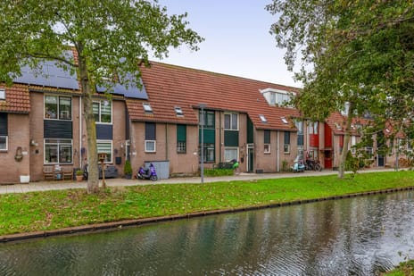 Molecatensingel thumbnail