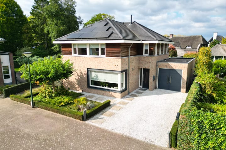 Foto 1 van Vlaamse Gaai 2