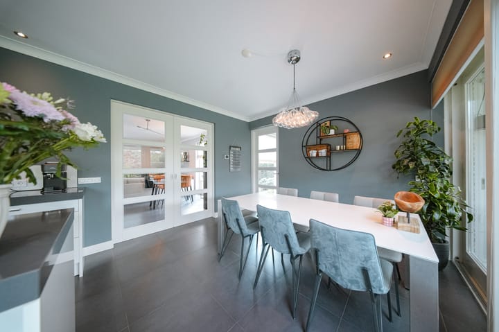 Foto 4 van Vlaamse Gaai 2