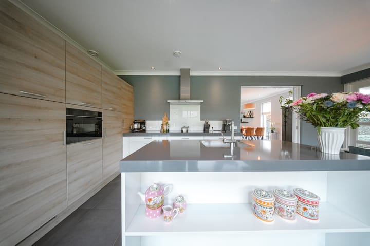 Foto 5 van Vlaamse Gaai 2