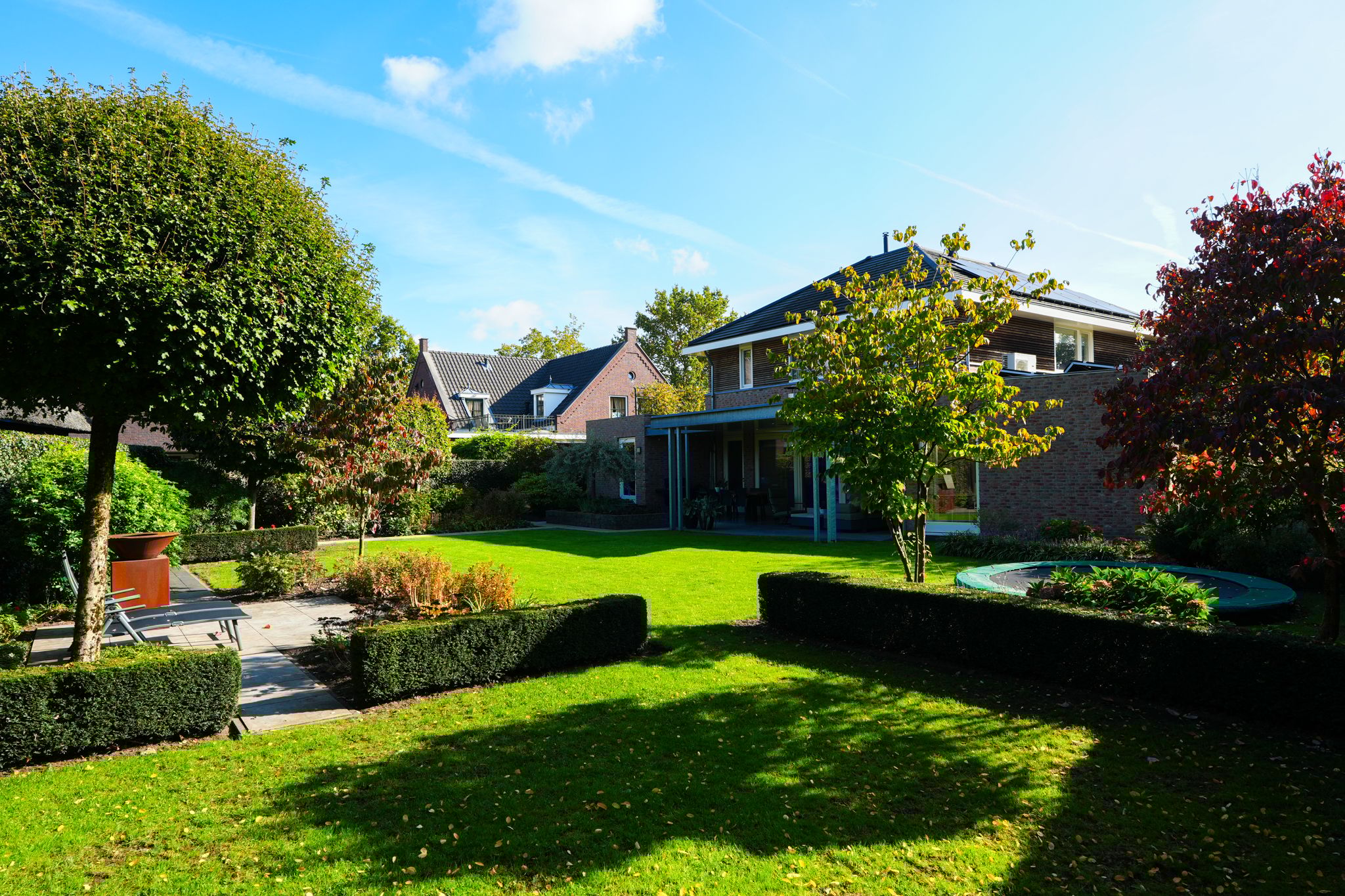 Foto 6 van Vlaamse Gaai 2