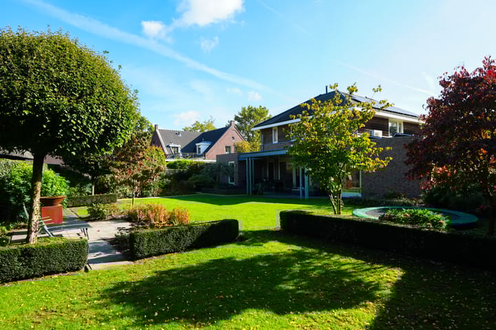 Foto 6 van Vlaamse Gaai 2