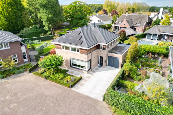 Foto 8 van Vlaamse Gaai 2