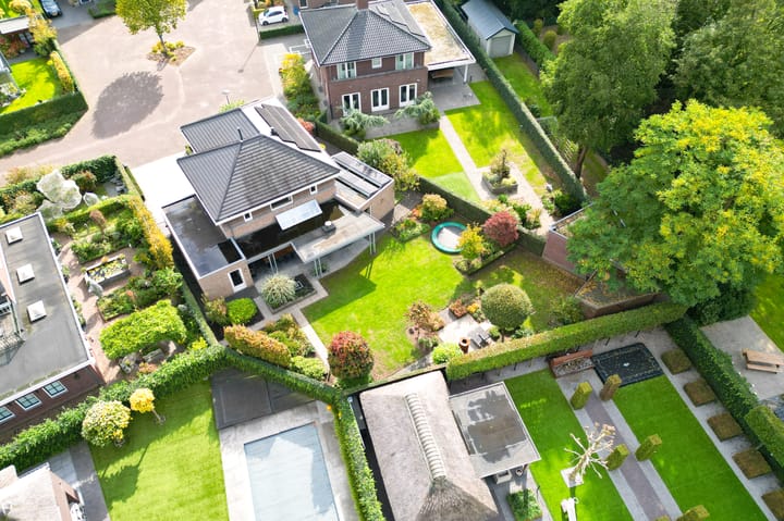 Foto 9 van Vlaamse Gaai 2