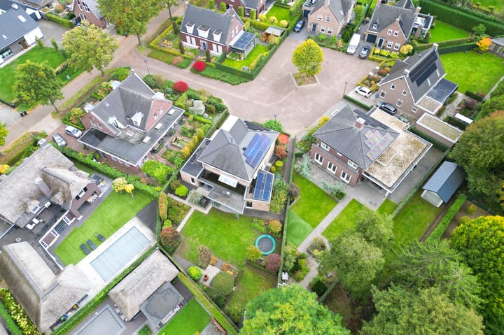 Foto 10 van Vlaamse Gaai 2