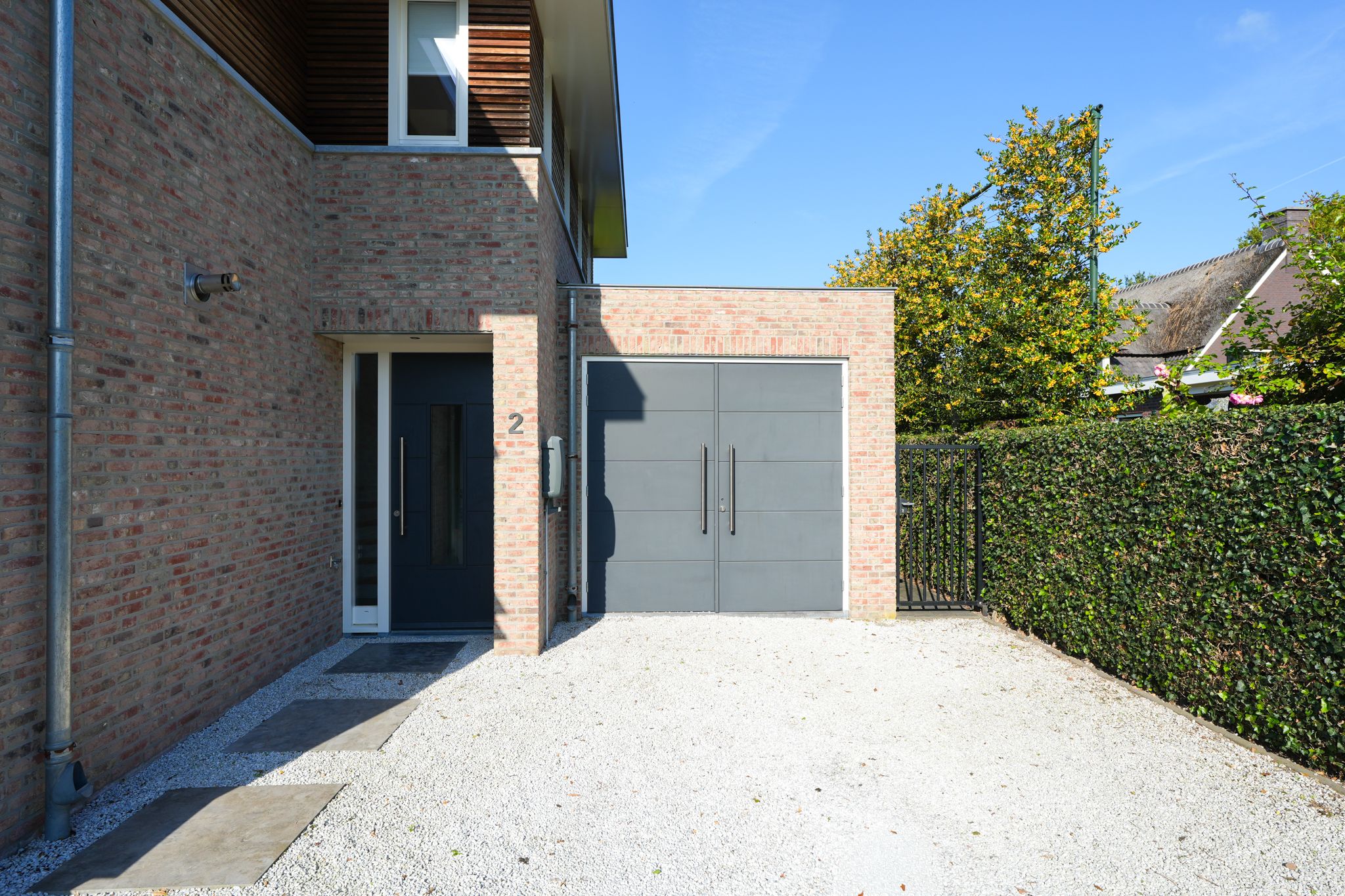 Foto 12 van Vlaamse Gaai 2