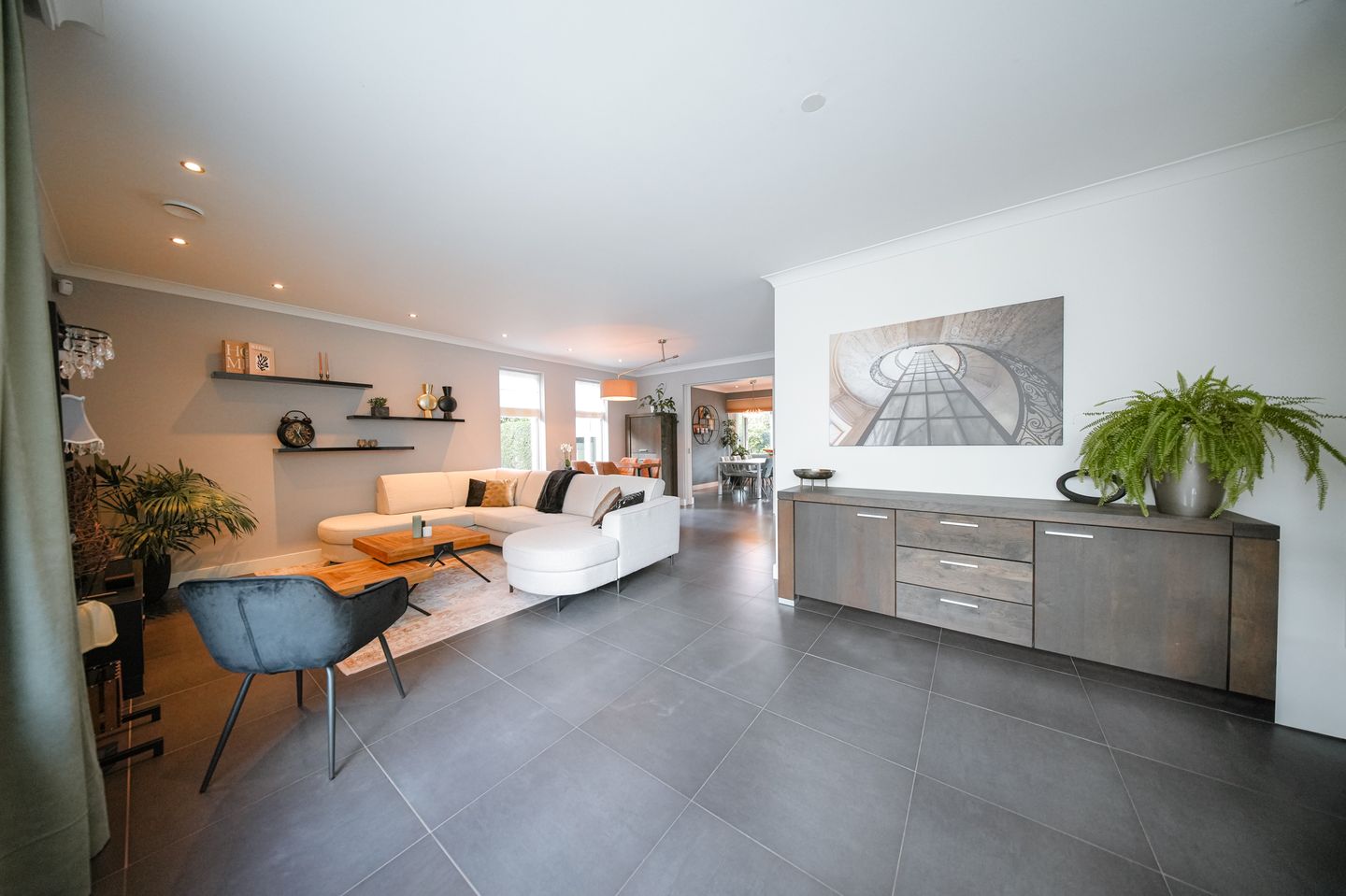 Foto 14 van Vlaamse Gaai 2