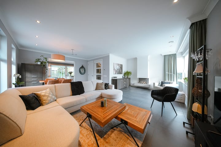 Foto 15 van Vlaamse Gaai 2