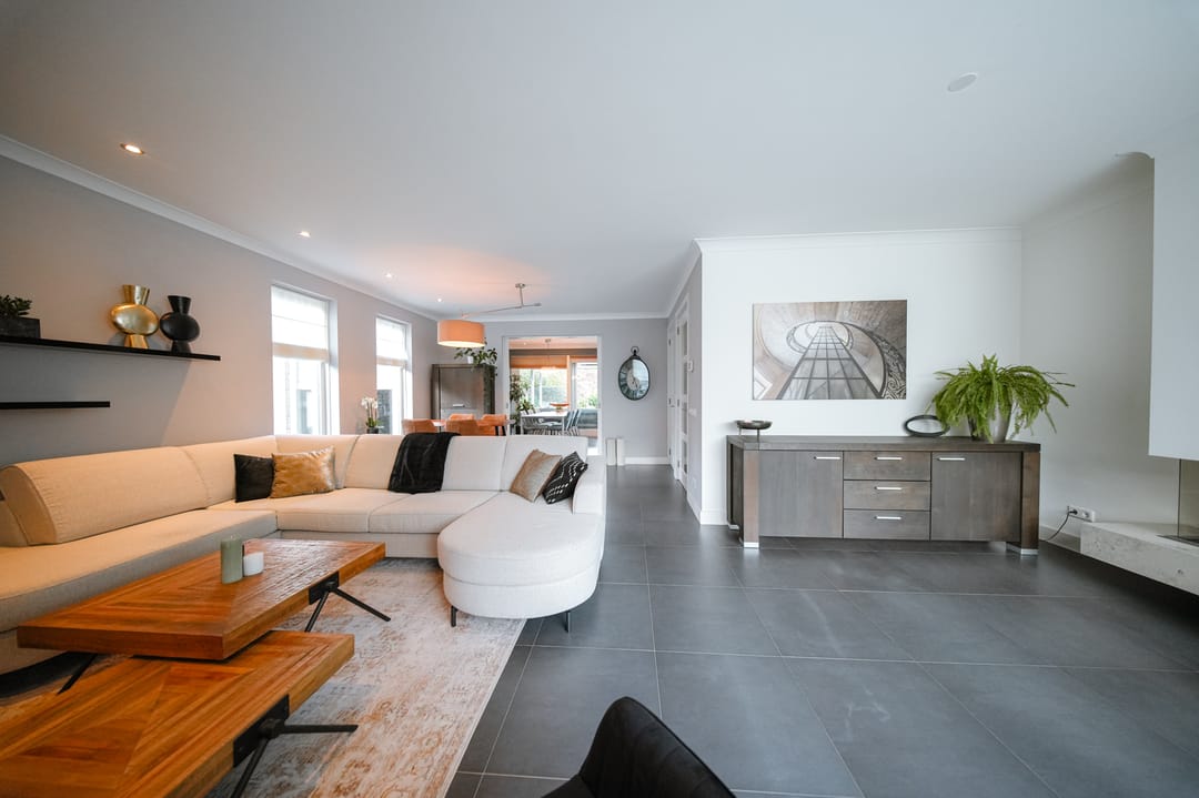 Foto 16 van Vlaamse Gaai 2