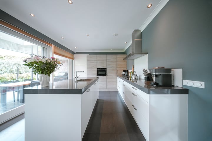 Foto 20 van Vlaamse Gaai 2