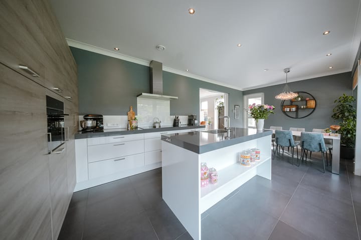 Foto 21 van Vlaamse Gaai 2