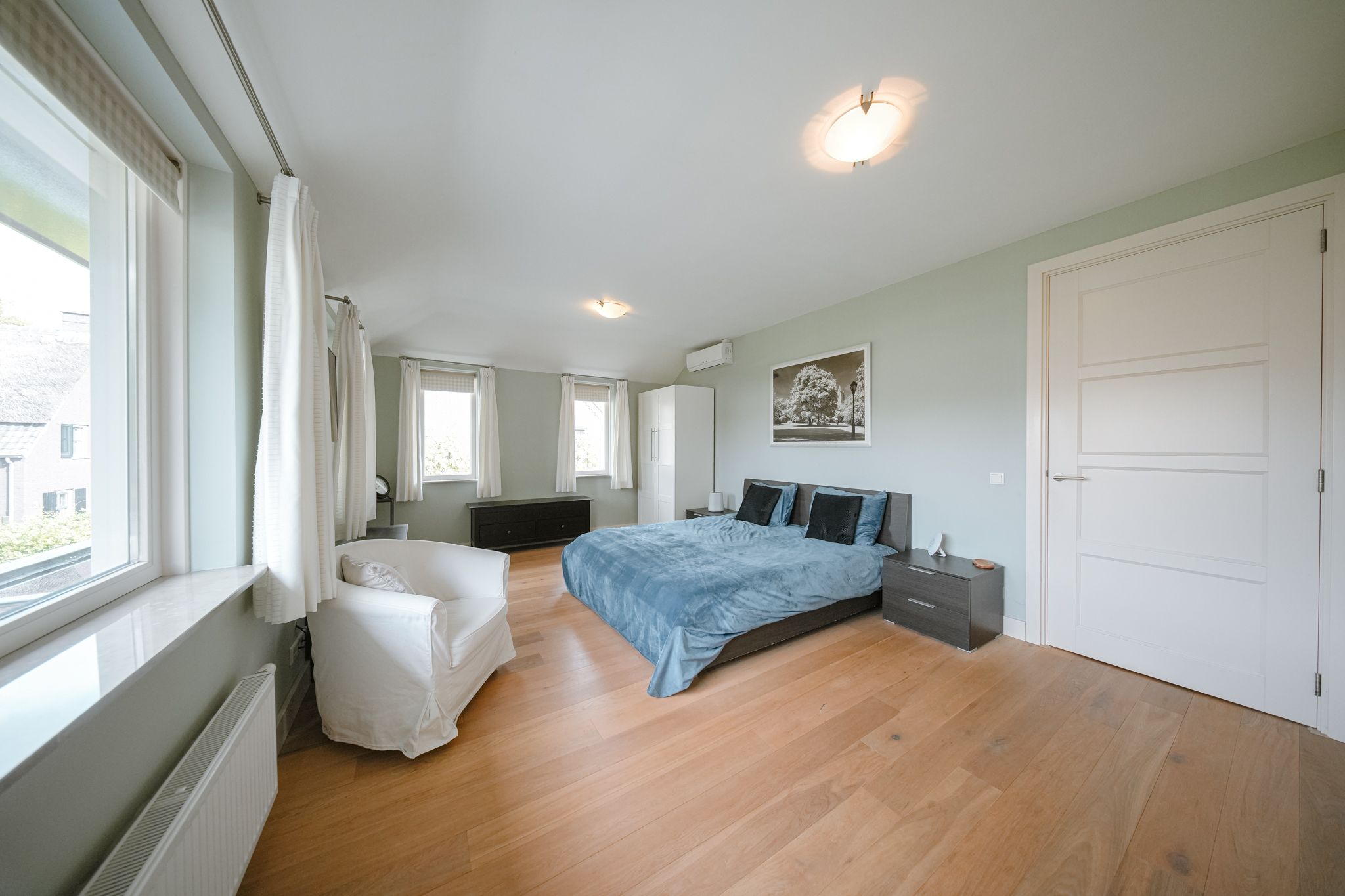 Foto 30 van Vlaamse Gaai 2