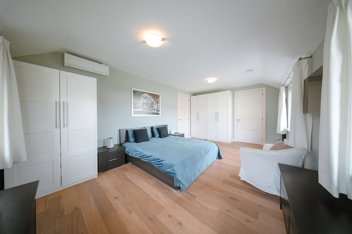 Foto 31 van Vlaamse Gaai 2