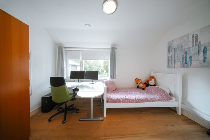 Foto 34 van Vlaamse Gaai 2