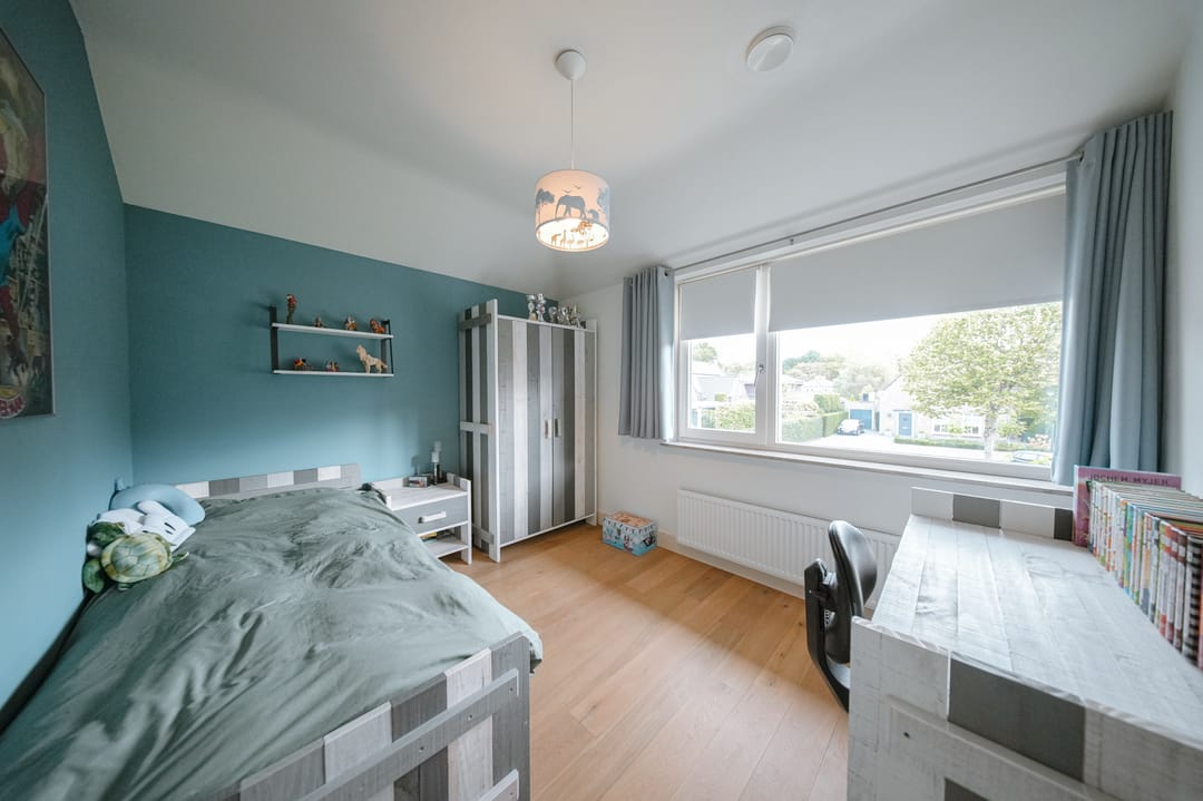 Foto 37 van Vlaamse Gaai 2