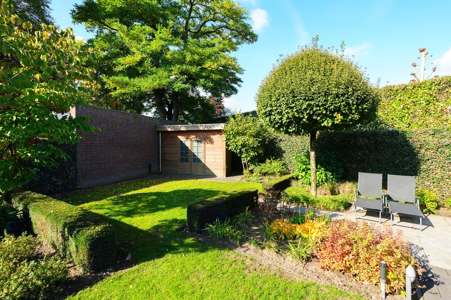 Foto 50 van Vlaamse Gaai 2