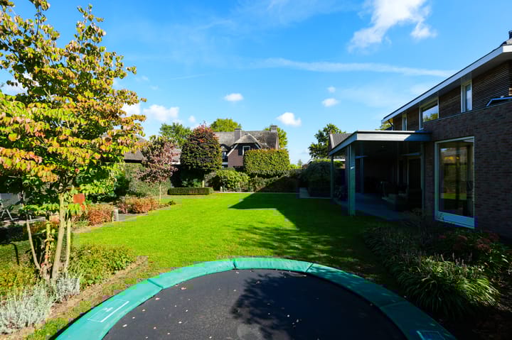 Foto 51 van Vlaamse Gaai 2