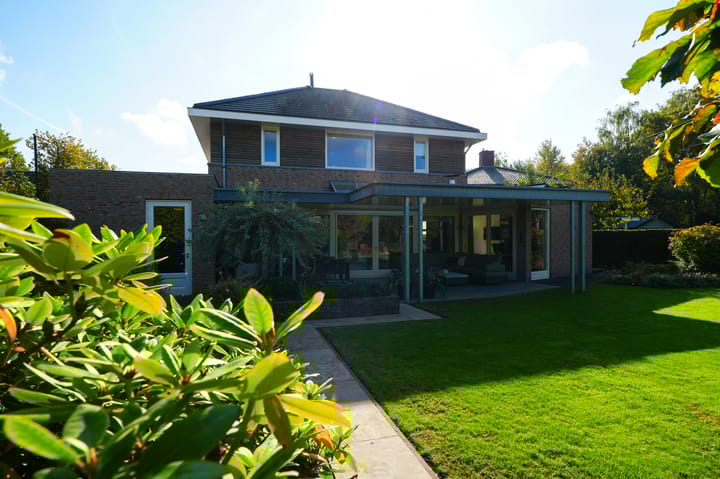 Foto 52 van Vlaamse Gaai 2