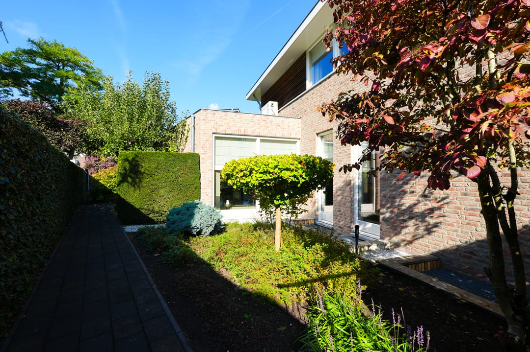 Foto 58 van Vlaamse Gaai 2