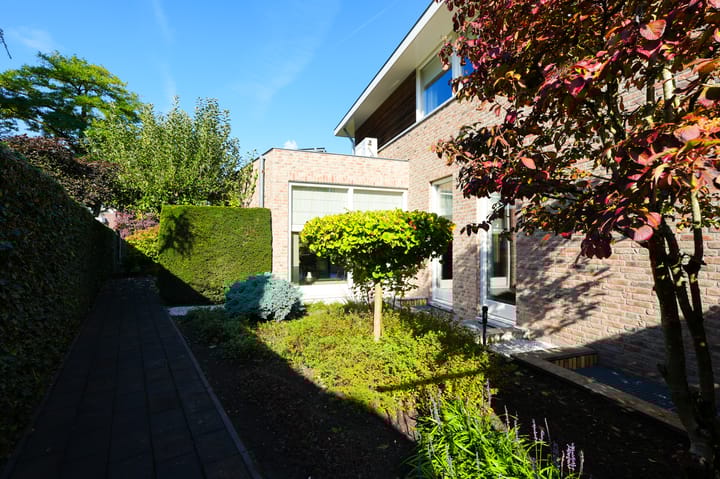 Foto 58 van Vlaamse Gaai 2